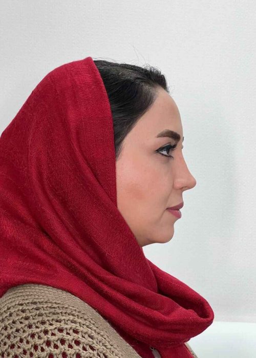 مهدیه حسنی (11)