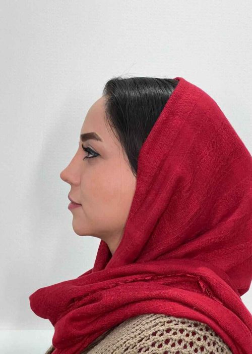 مهدیه حسنی (12)